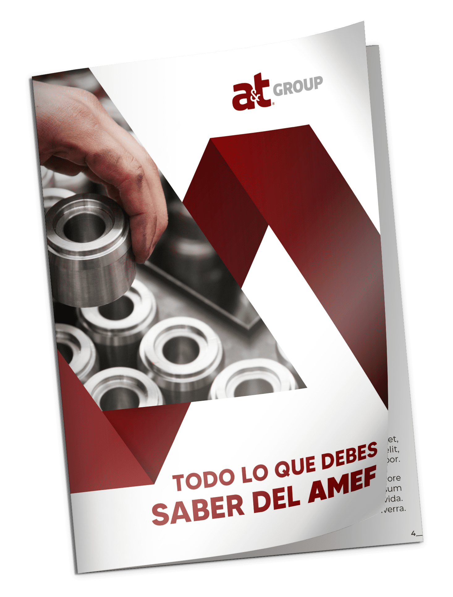 amef ebook actualizado (1)