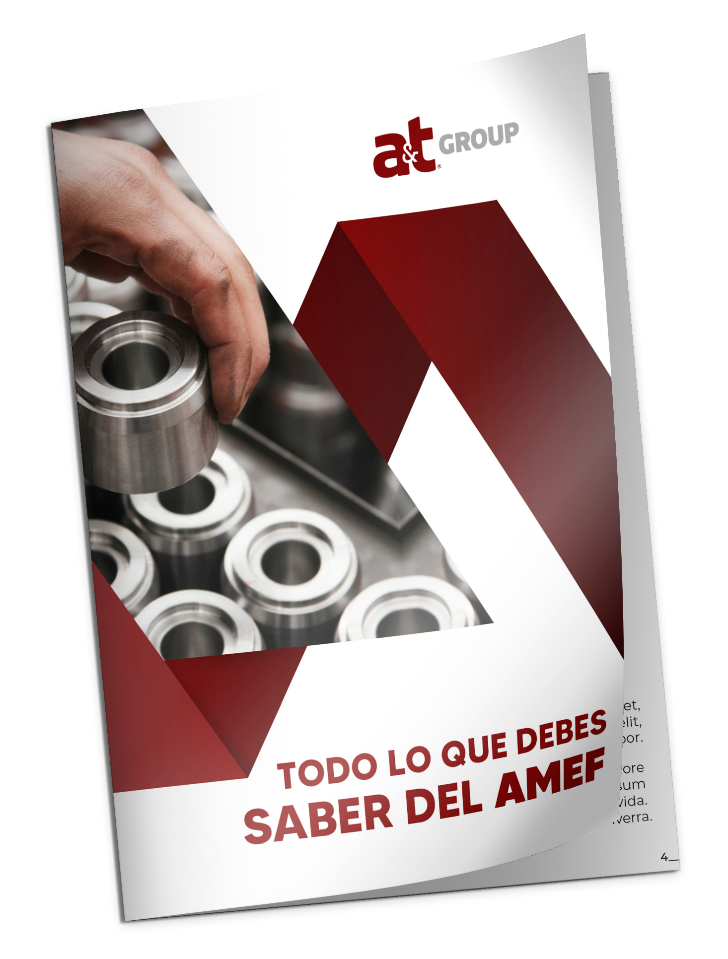 amef ebook actualizado